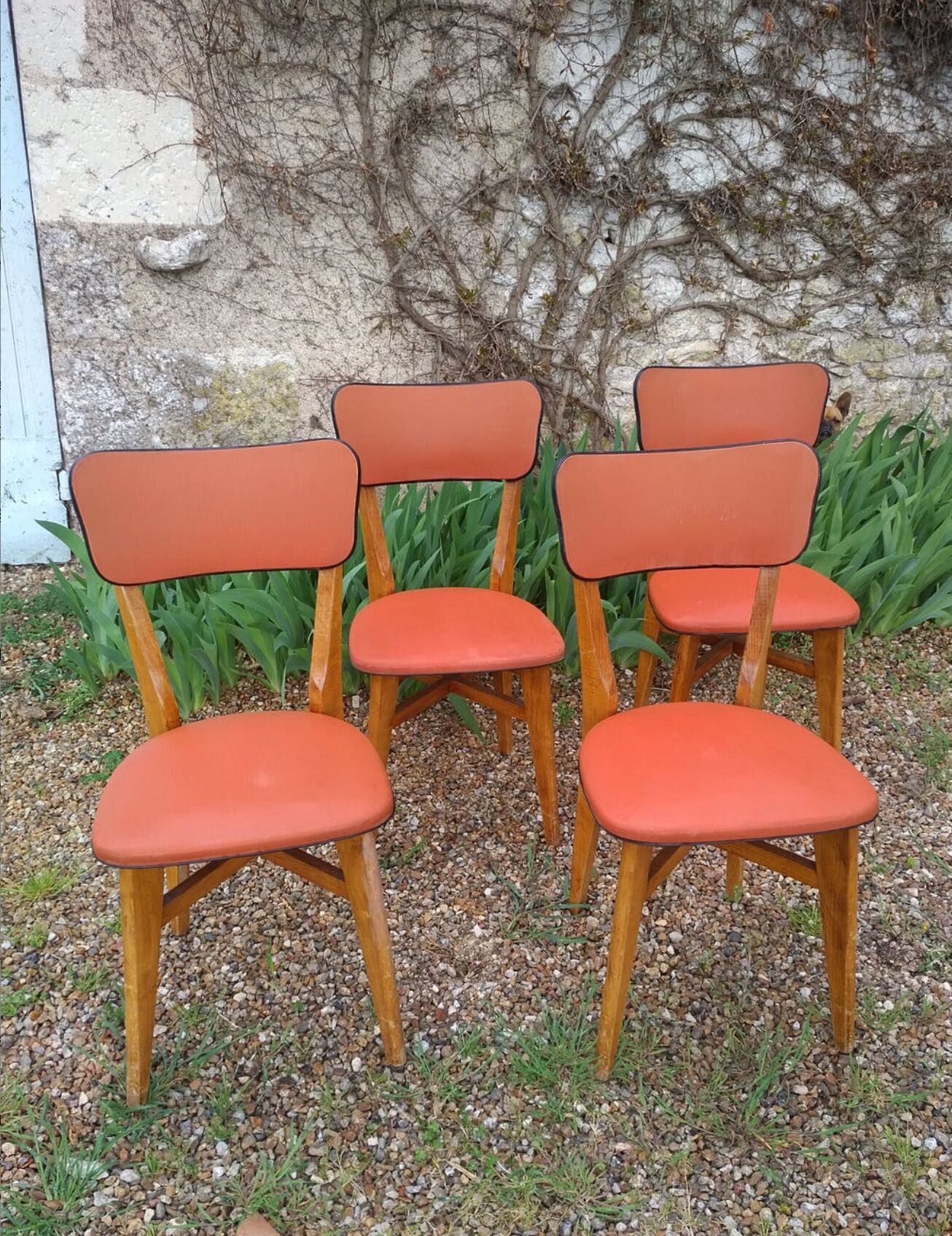 Vintage chairs 50