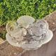 Mikasa crystal salad bowl with seashell and crab design