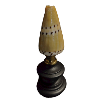 Coquillage conus mustelinus sur socle