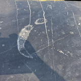 Enfilade early nineteenth fossilized marble top