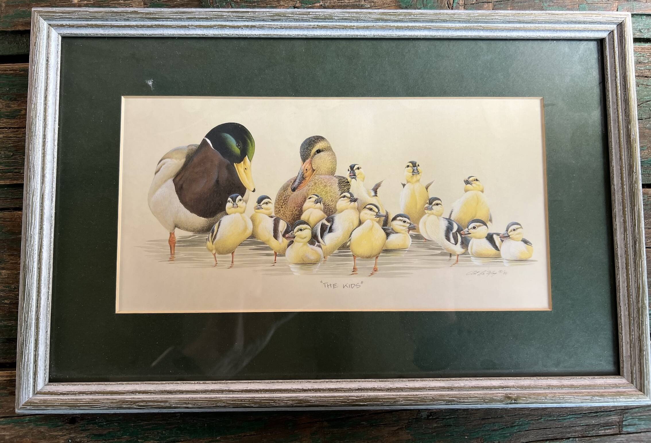 Set of 2 decorative duck wall posters ideal for children's rooms