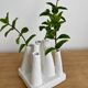 Vase pique flower with matte whitened pipe
