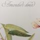 Sweet almond botanical plank