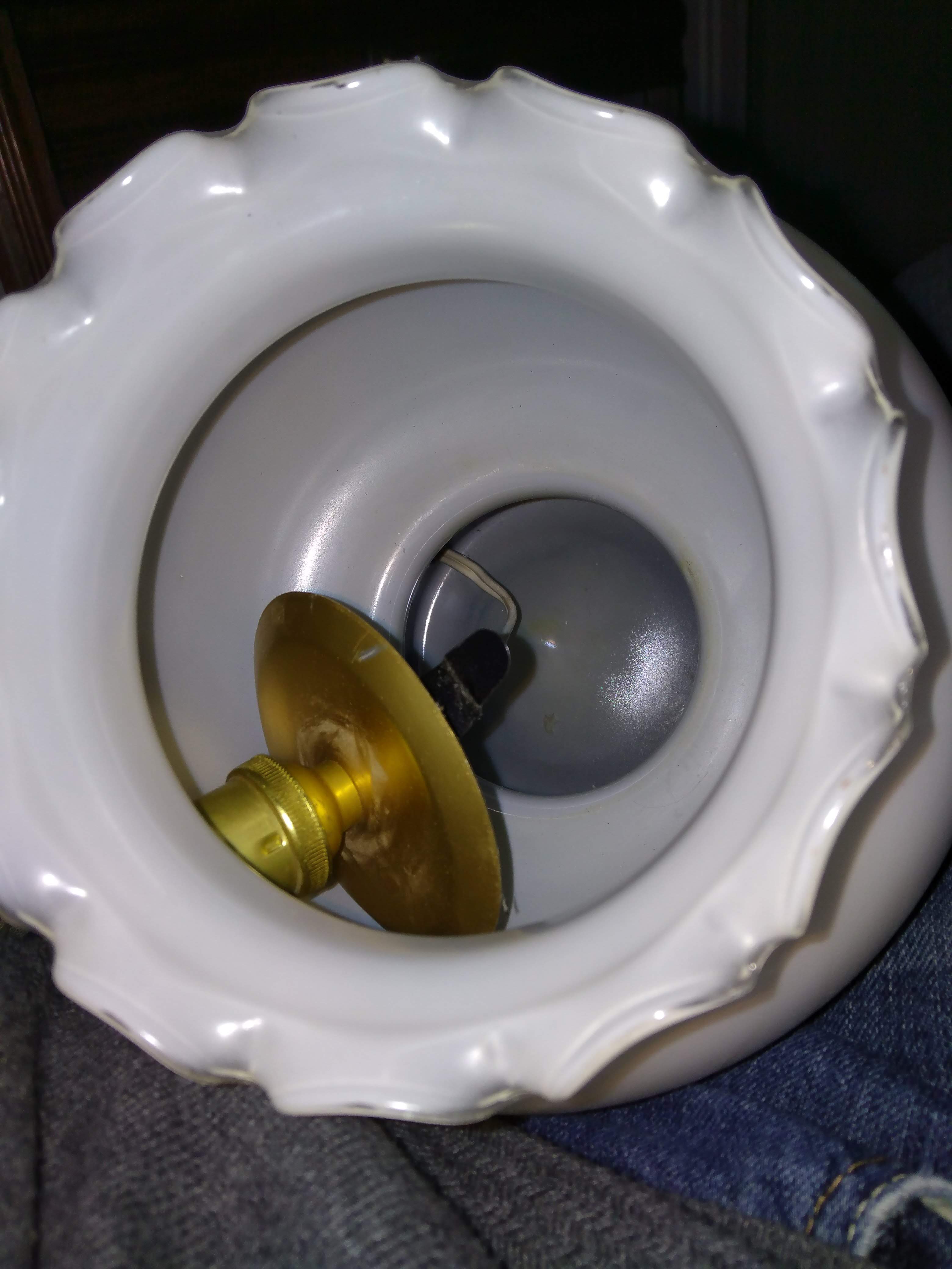 Pair of duck blue and white opaline lamps