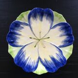 Flower dish dabbling