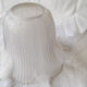 Lot of 2 glass blinds