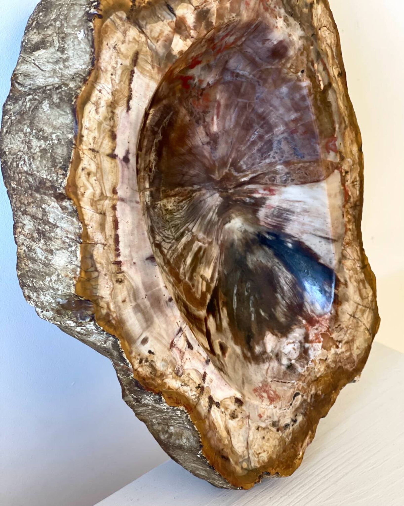 Petrified wood catchall