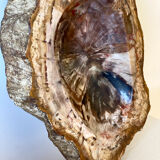 Petrified wood catchall