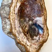 Petrified wood catchall