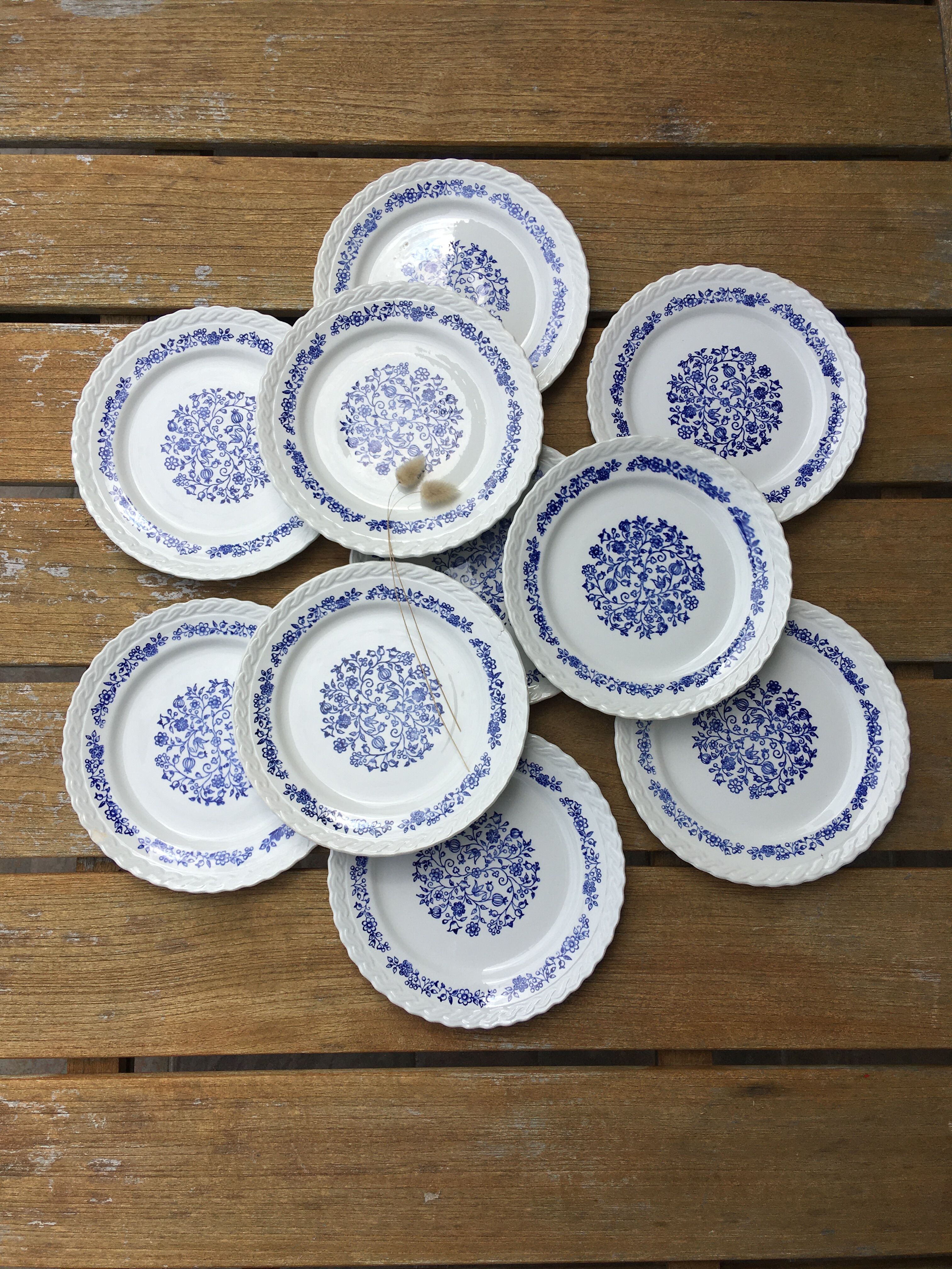 10 dessert plates blue flowers