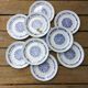 10 dessert plates blue flowers