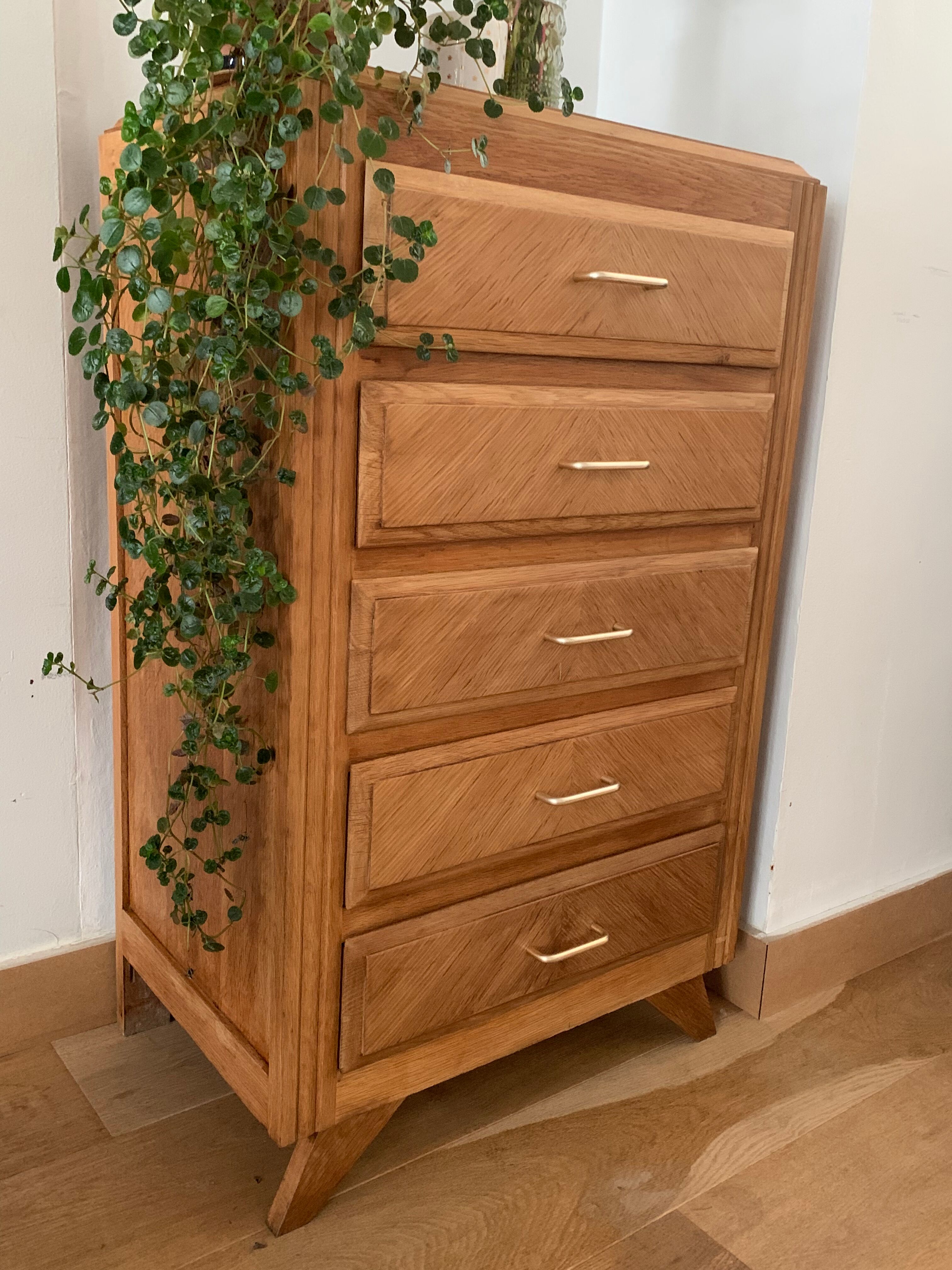 Vintage oak chiffonier