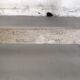 Old fruit tree ladder Etablissements Masson Chateaubriand 2.40m