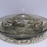 Dish