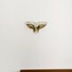 Set of 2 Smoked Glass Wall Lamps by J.T. Kalmar
