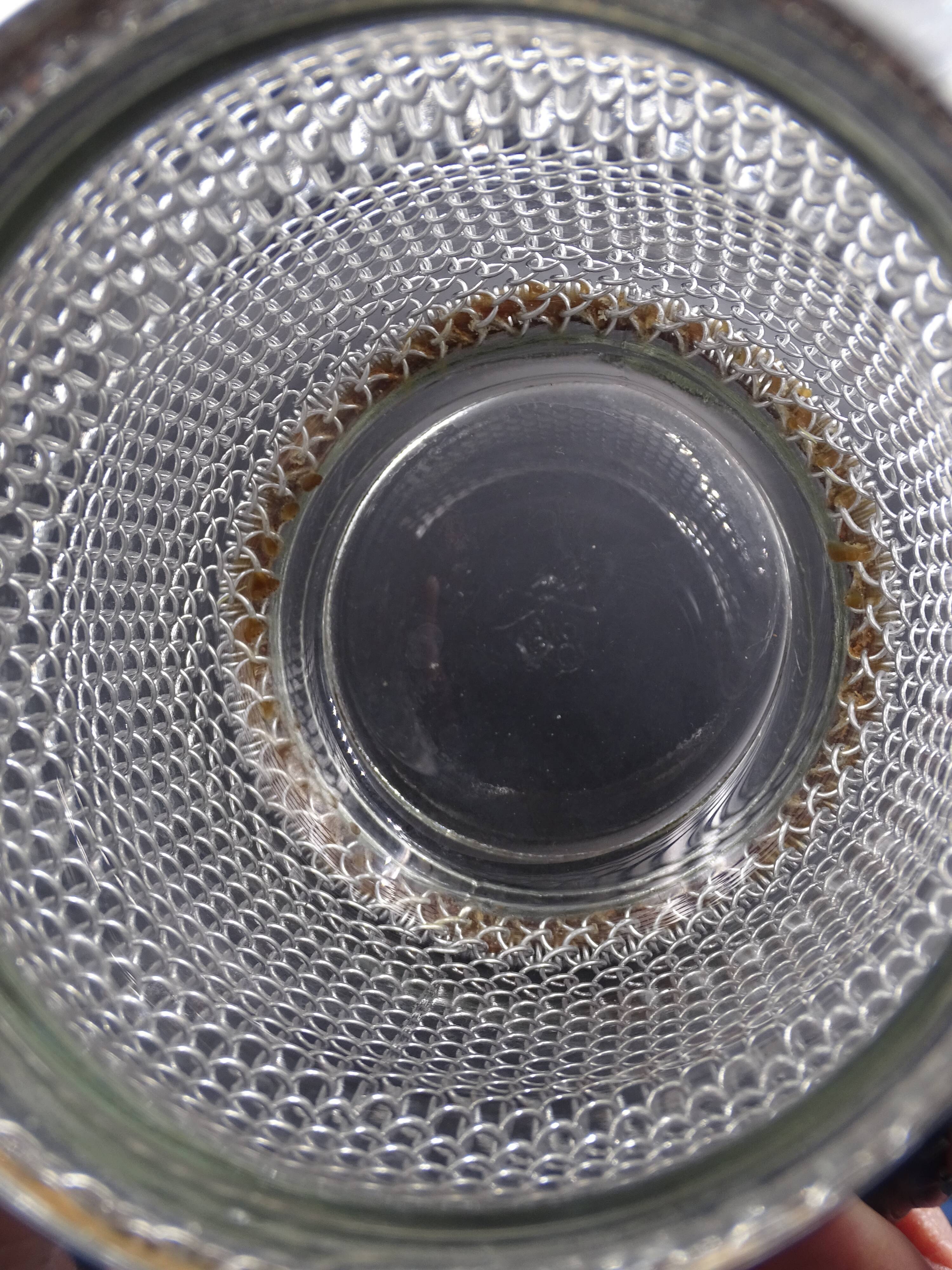 Screened ice bucket, circa 1970