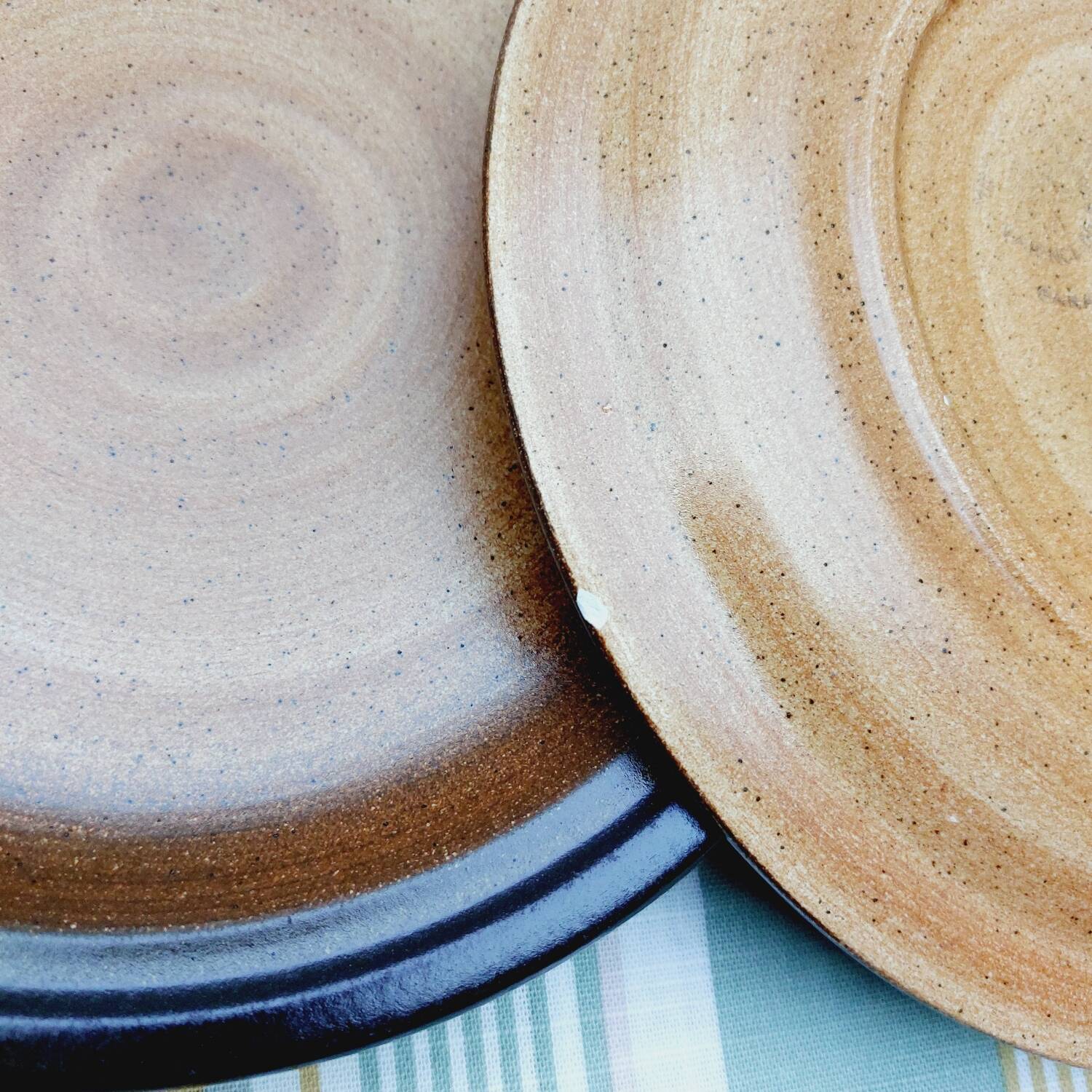 Saint Amand stoneware dinner plates