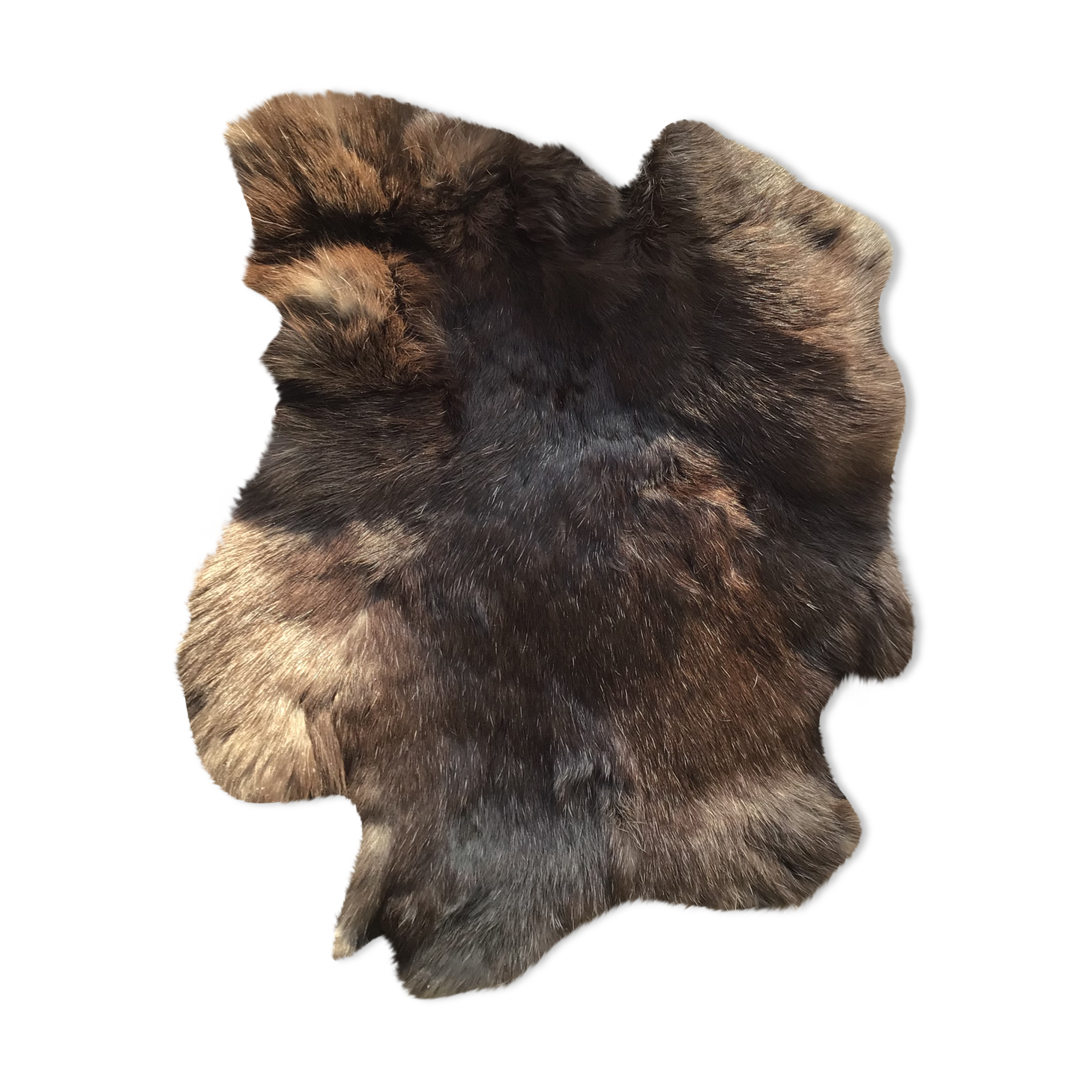 Dark brown rabbit skin