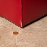 Vintage leather armchair "Ambassador", Nicoletti Salotti, Italy, 1980