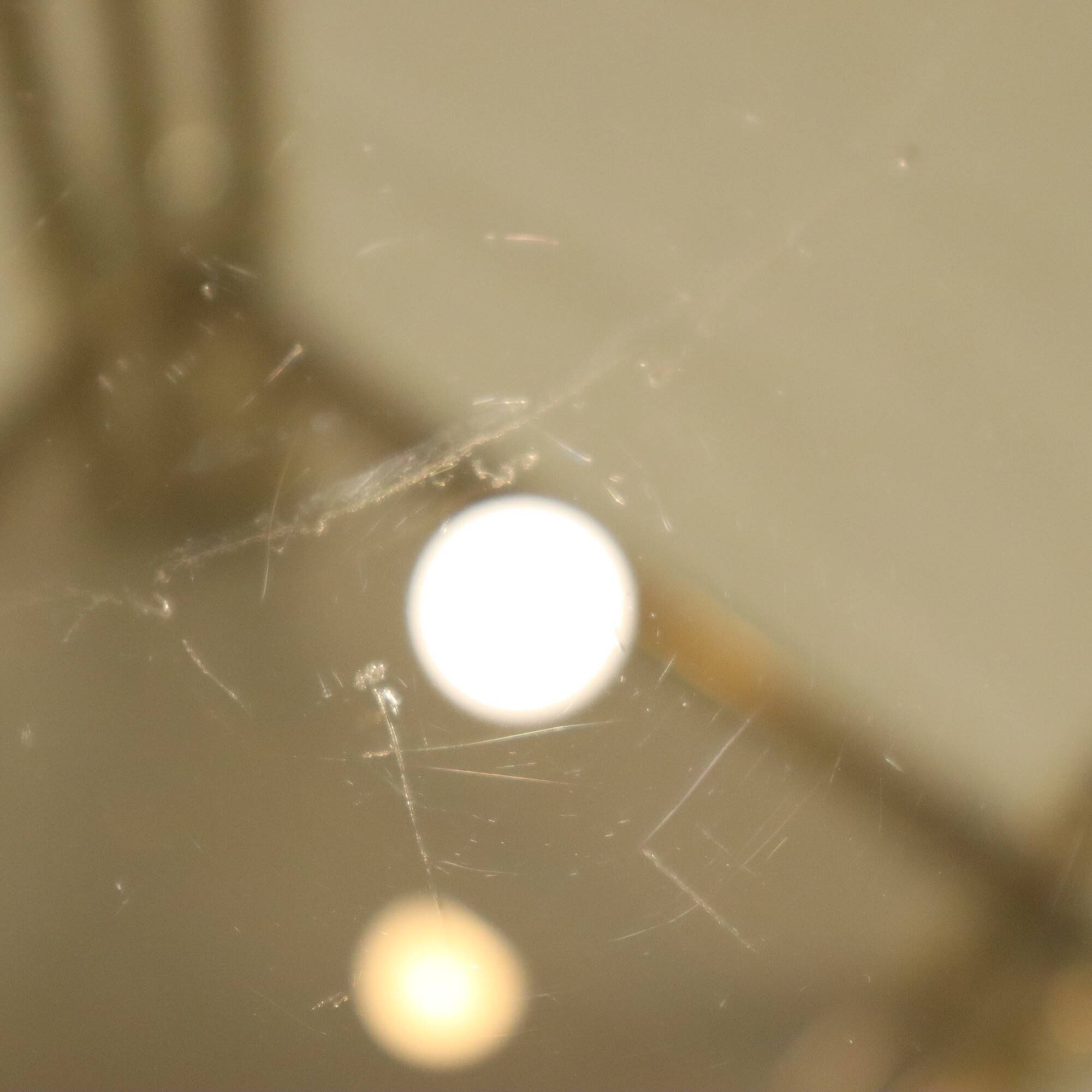 Italian Side Table Plant Table Design Hollywood Regency 70s