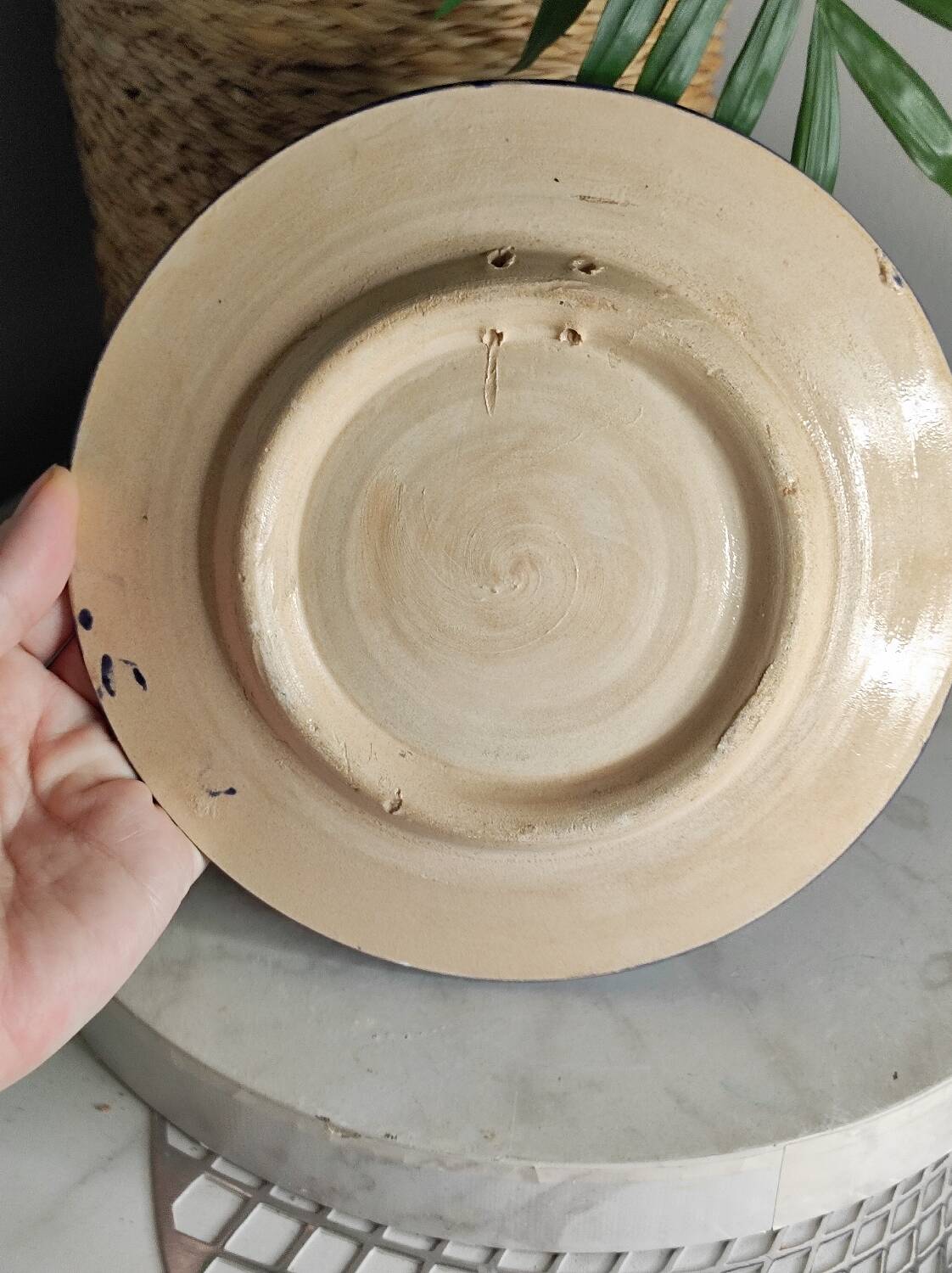 Decorative fish wall plate