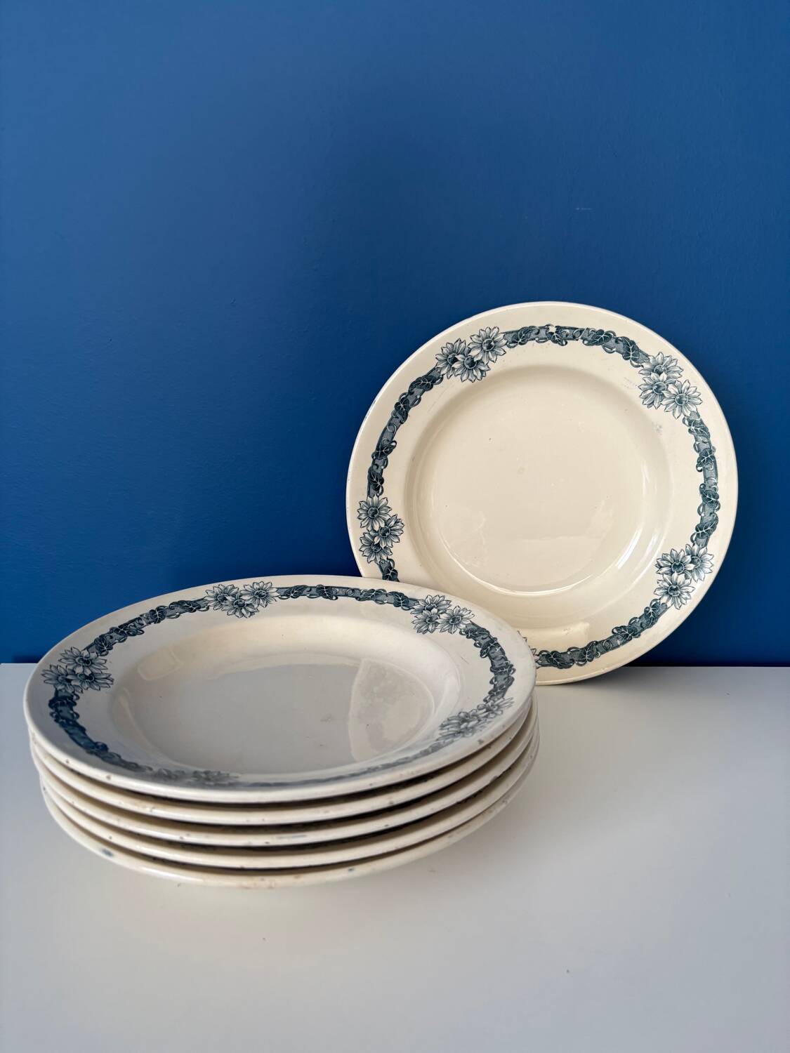 Set of 6 semi-deep plates in ironstone Longchamp model Denise.