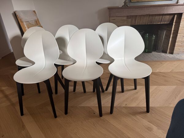 6 chaises Calligaris