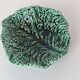 Cabbage leaf bowl