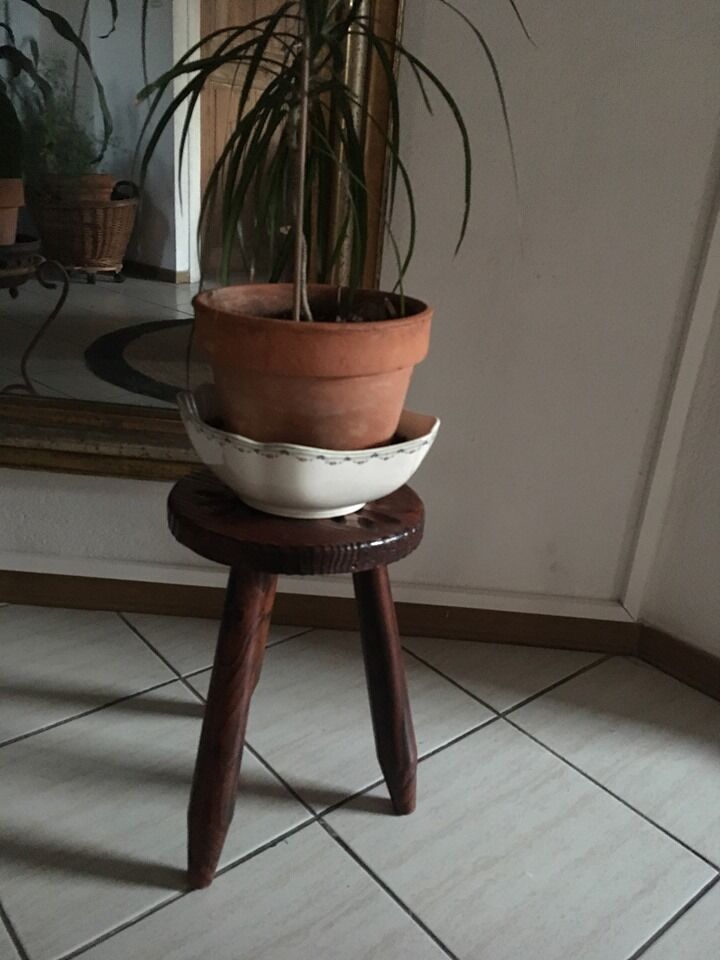 Wooden tripod stab with compass feet