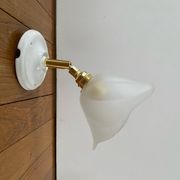 Paire d’appliques murales avec globes vintage