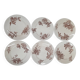 Iron earth salt flat plates