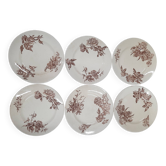Assiettes plates salins terre de fer