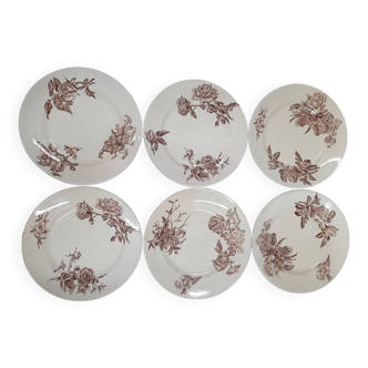 Iron earth salt flat plates