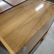 Secretary / Two-tone desk Frantisek Mezulanik for Up Zavody 1960
