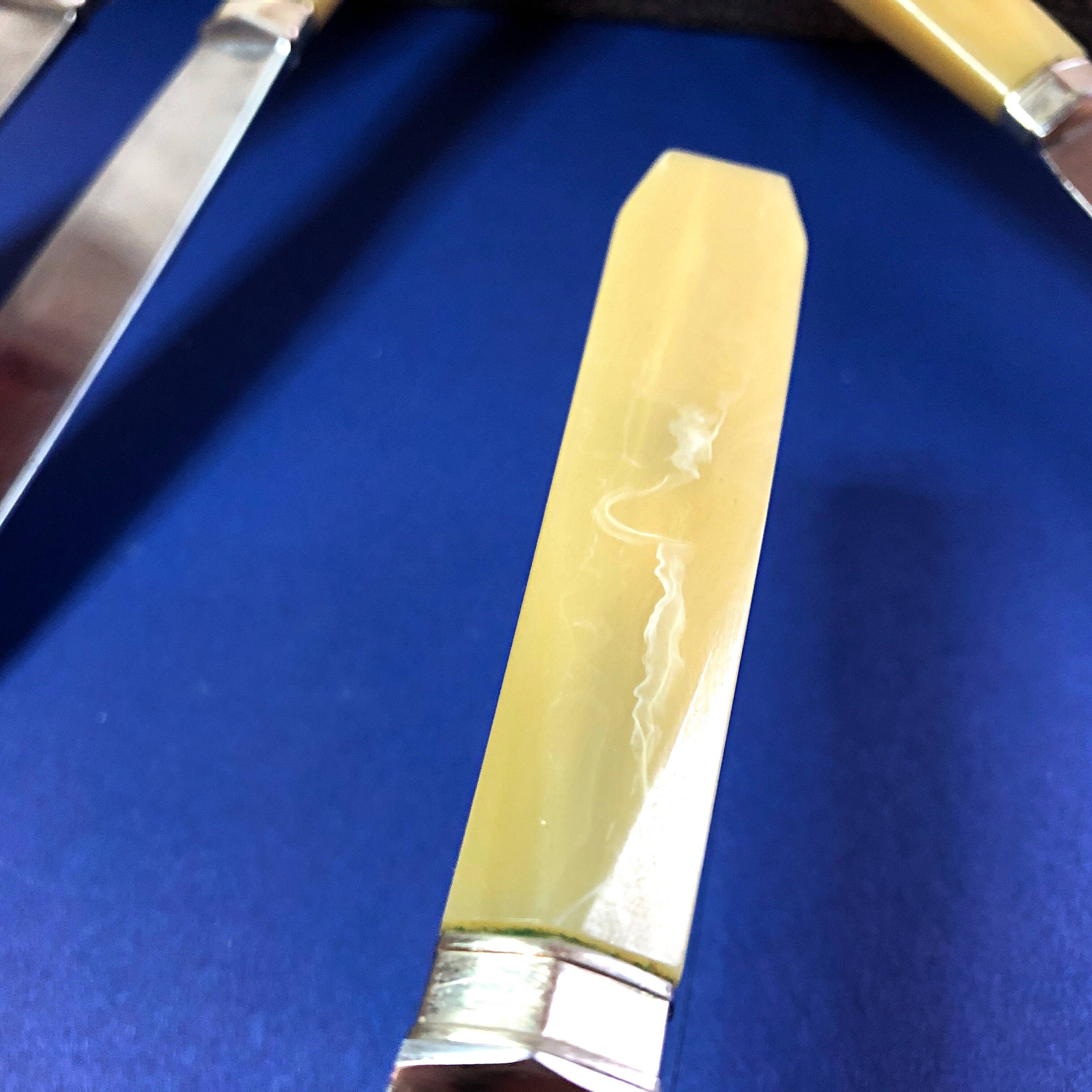 Box of 6 bakelite handle table knives France early 20th century