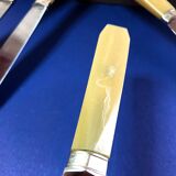 Box of 6 bakelite handle table knives France early 20th century