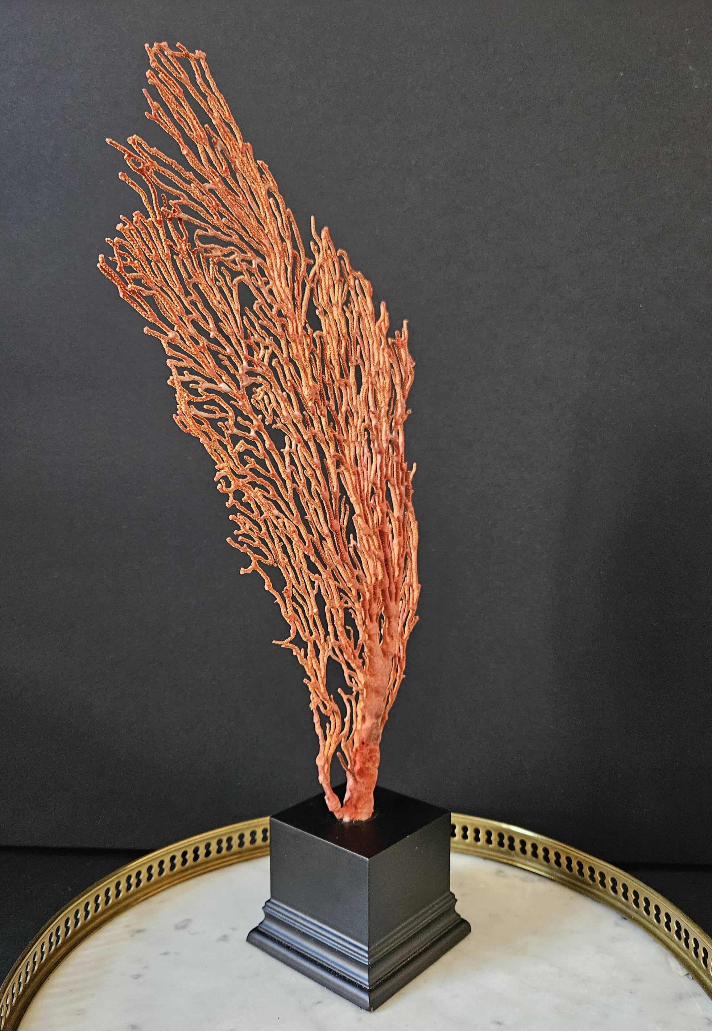 Large Red/Orange Gorgon Black wooden base. H: 36 cm
