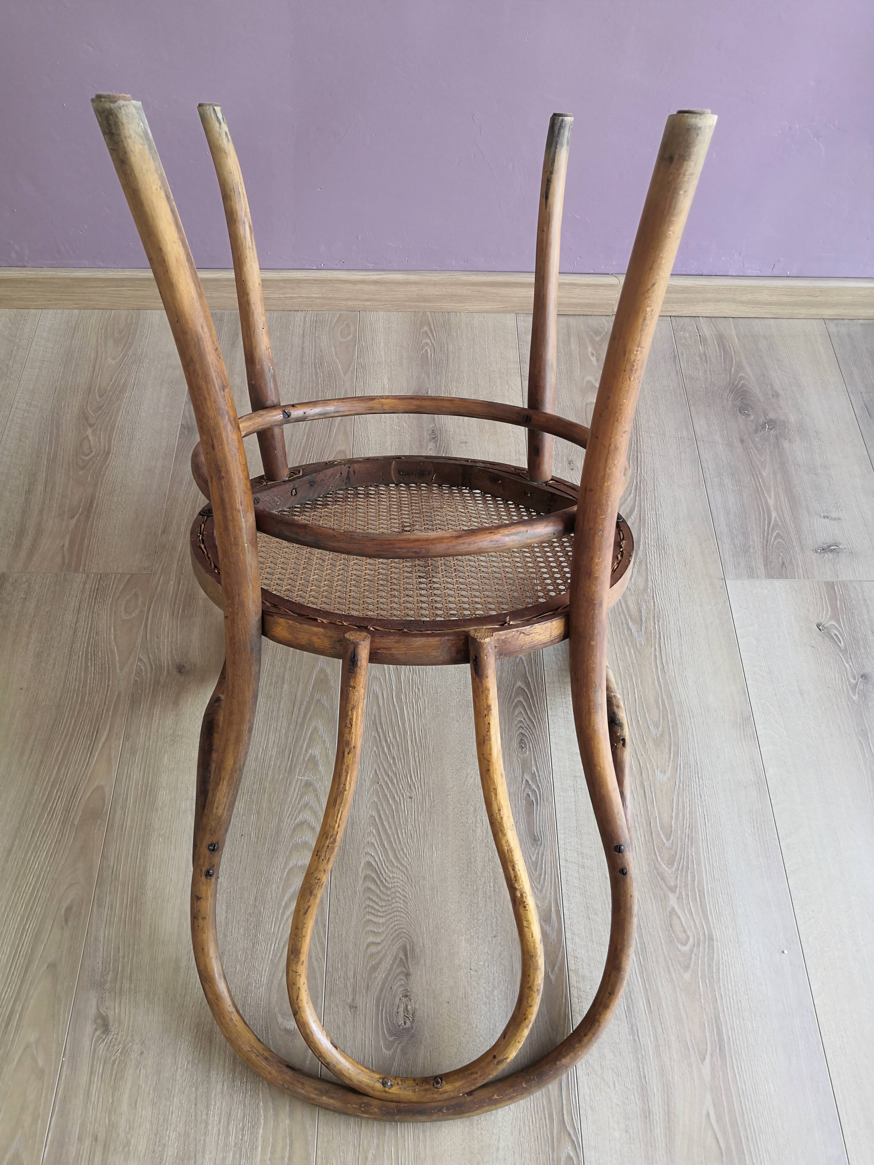 Thonet armchair in wood and cane, 1900