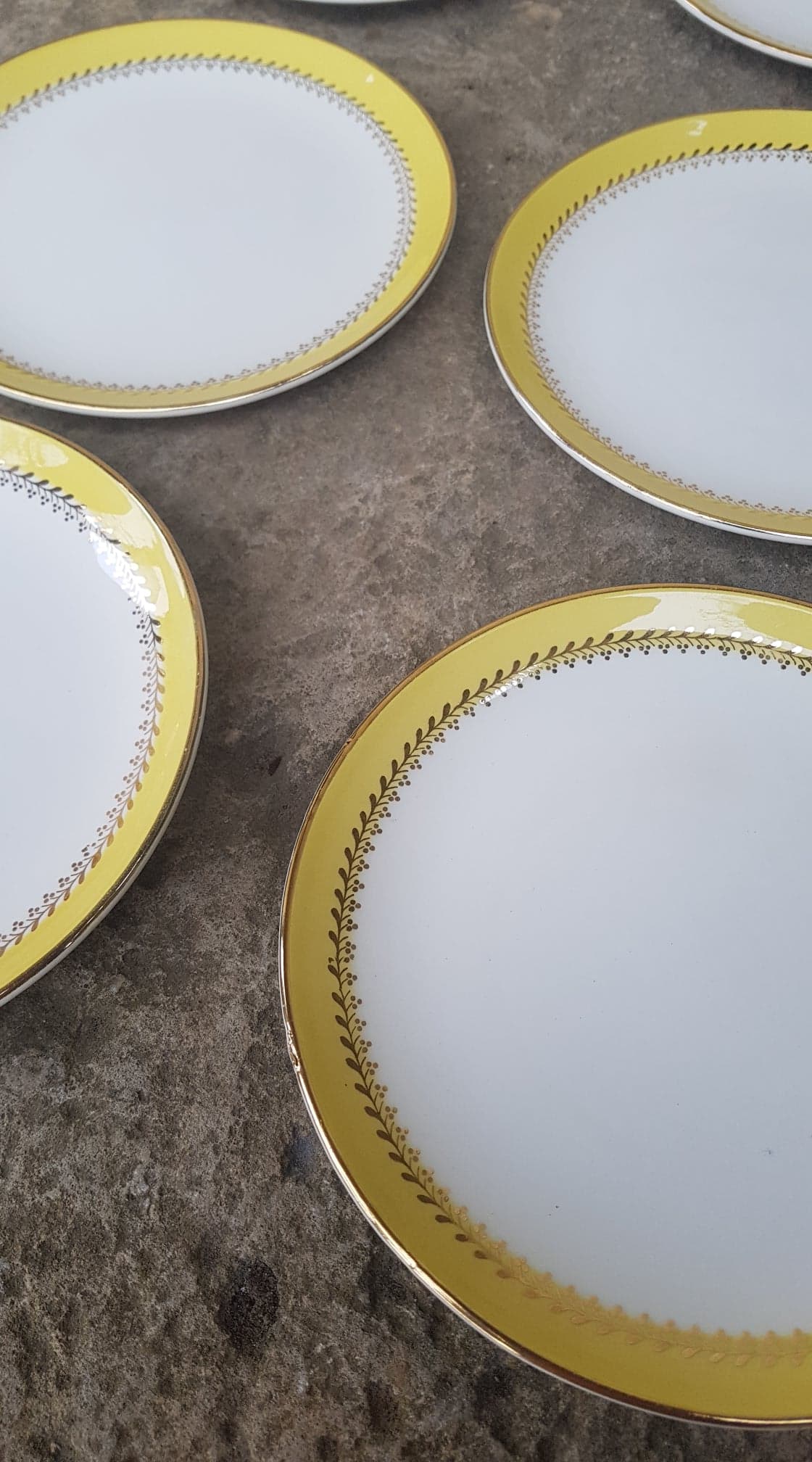 Lot de 6 assiettes Biarritz
