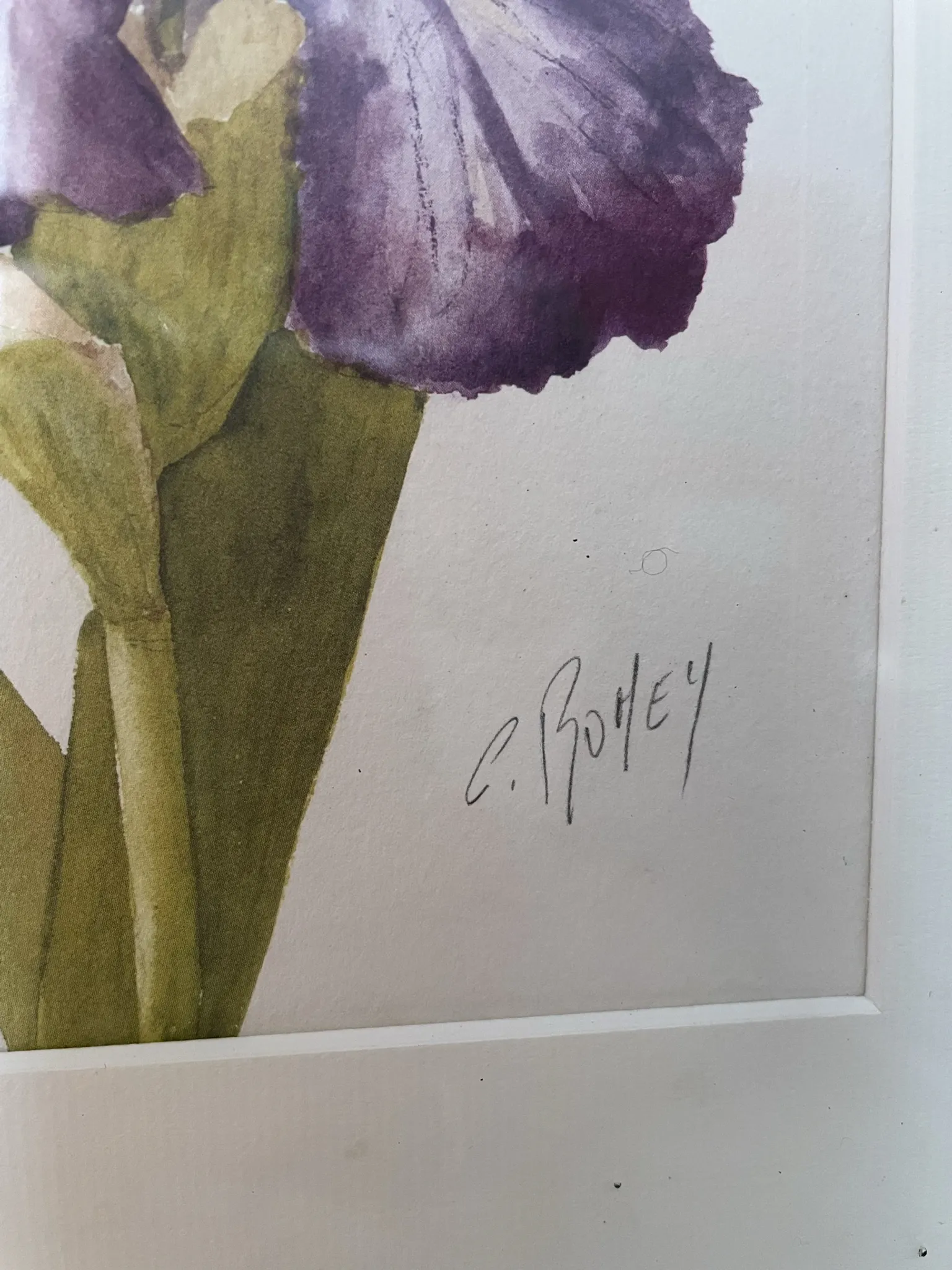 Duo d’aquarelles de Cecil Romey