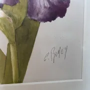 Duo d’aquarelles de Cecil Romey