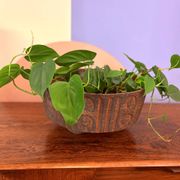 West Germany ceramic pot / bowl