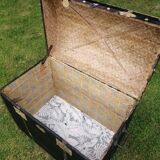 Old trunk