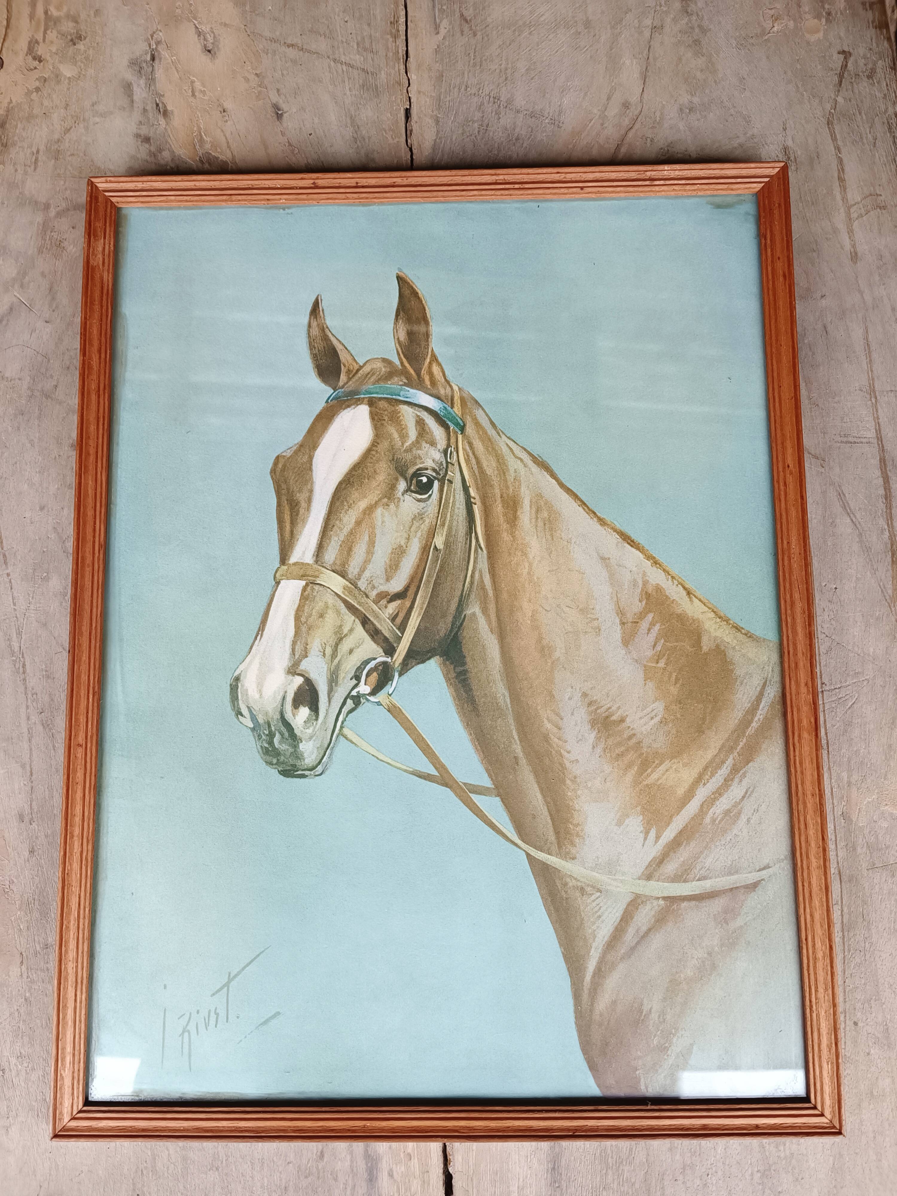 Lithographie cheval J.Rivet