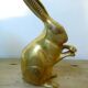 Lapin en laiton