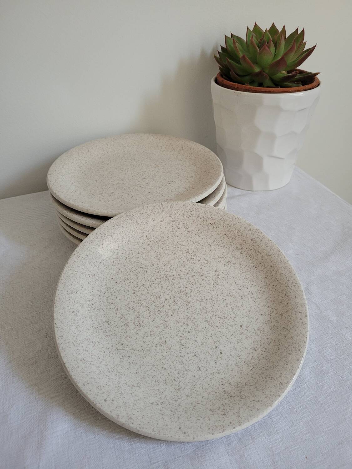 6 assiettes à dessert mouchetées