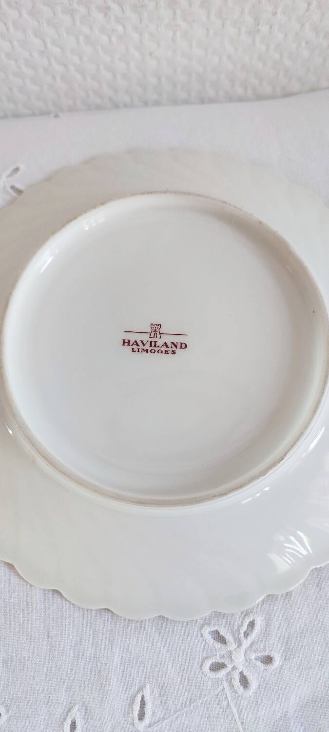 Havilland Limoges porcelain cup and saucer