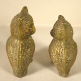 Pair of brass owls