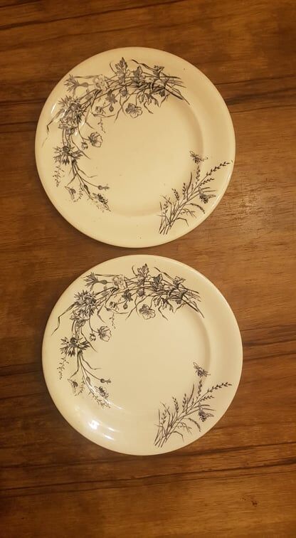 Set of 2 plates in Iron Earth SG model Fleurs des Champs