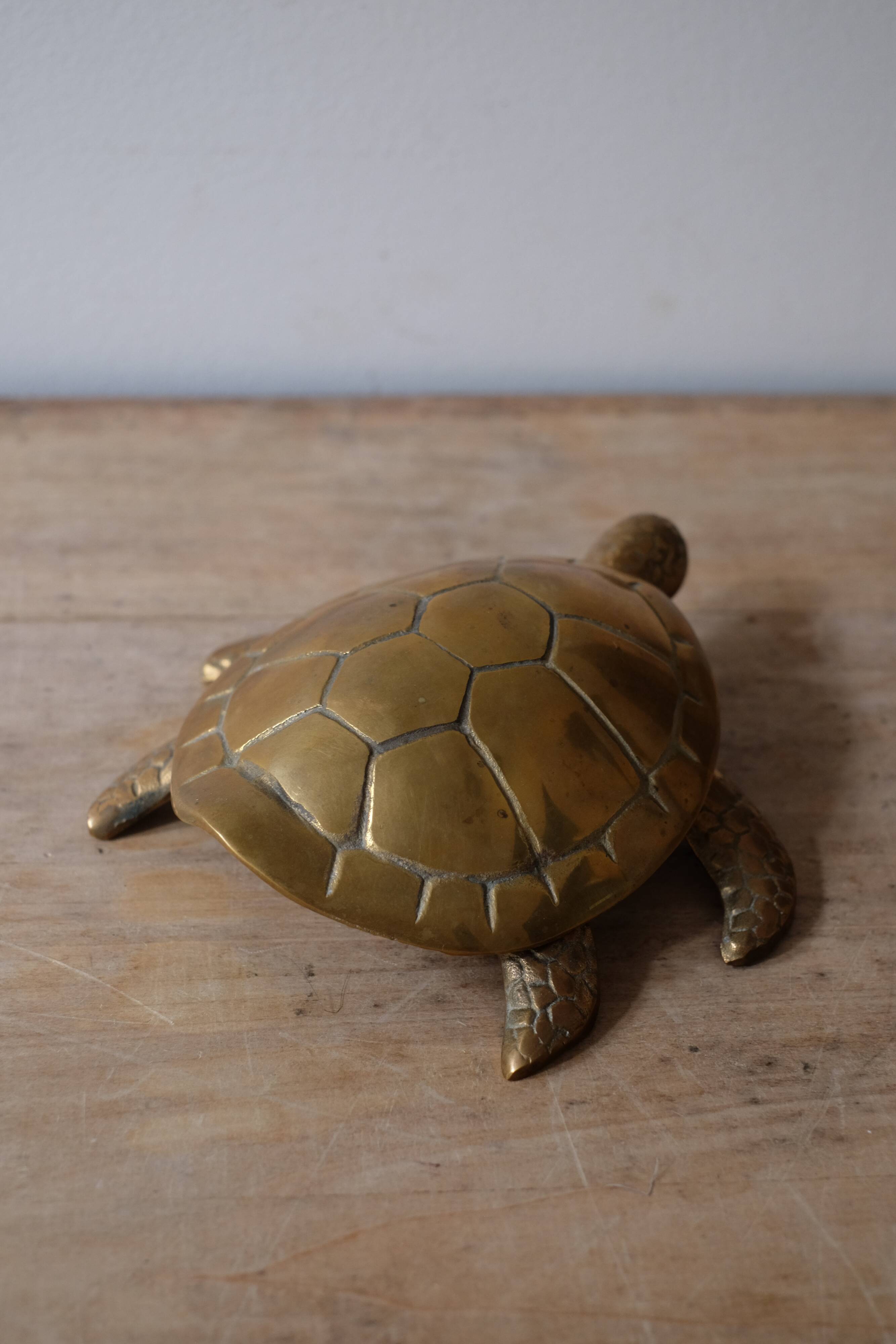 Empty brass turtle pocket